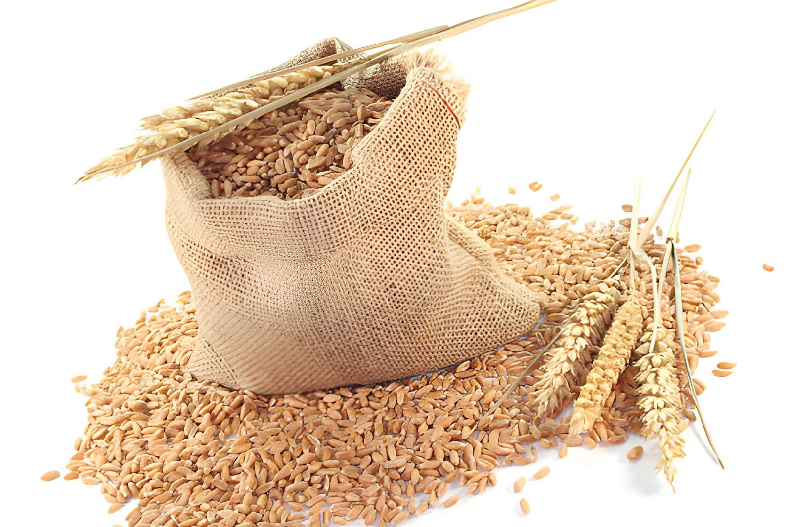 steptodown.com856635